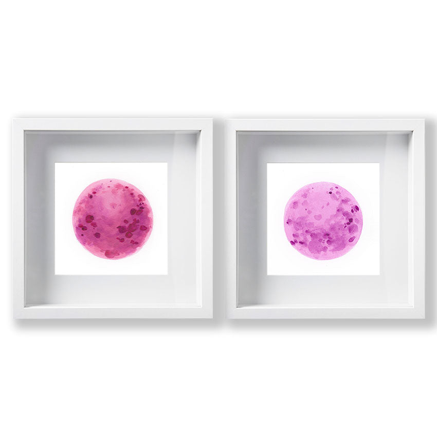 04 Super Lune Rose 3